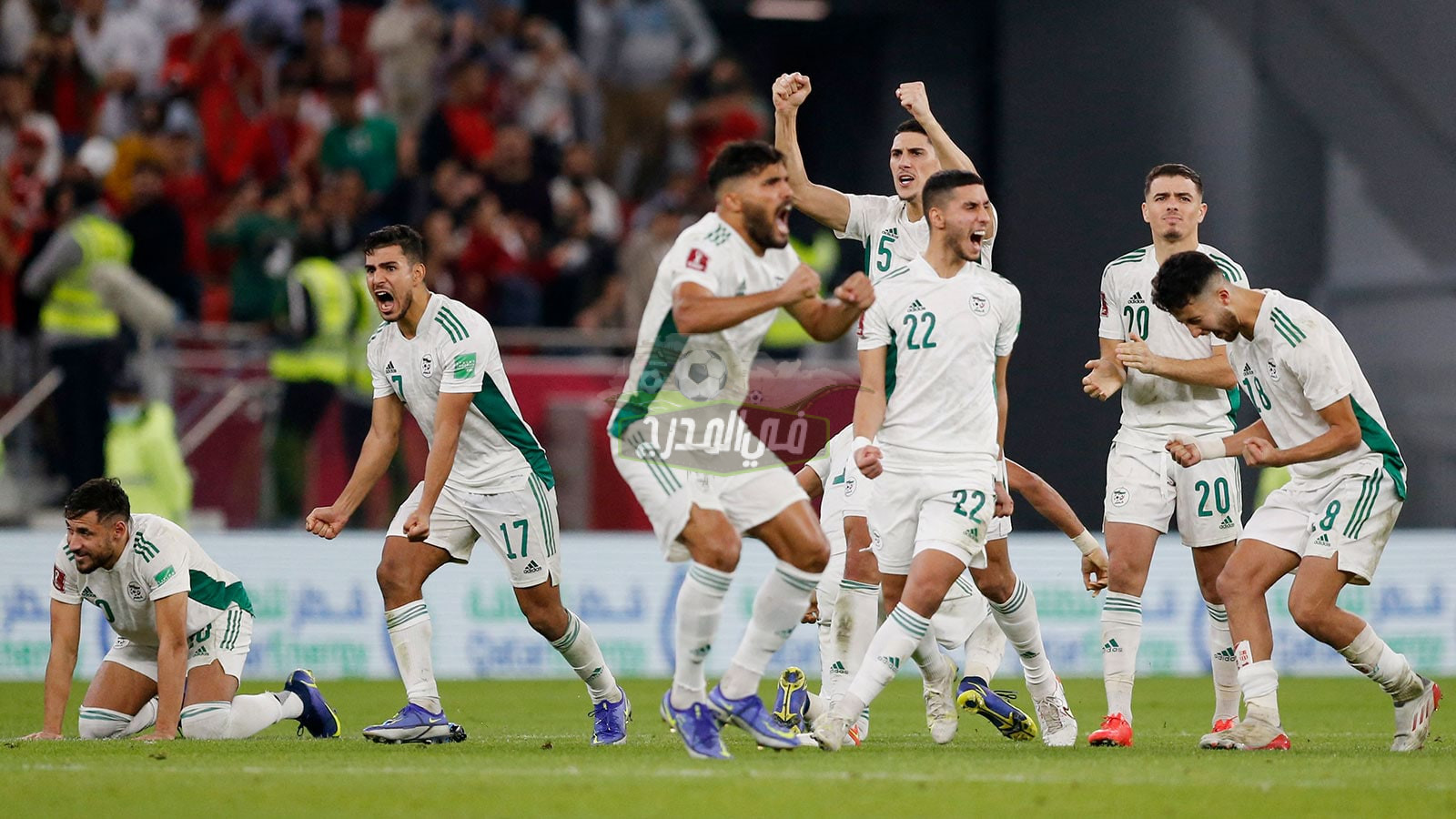 تردد القنوات الناقلة لمباراة الجزائر ضد قطر في نصف نهائي كأس العرب 2021