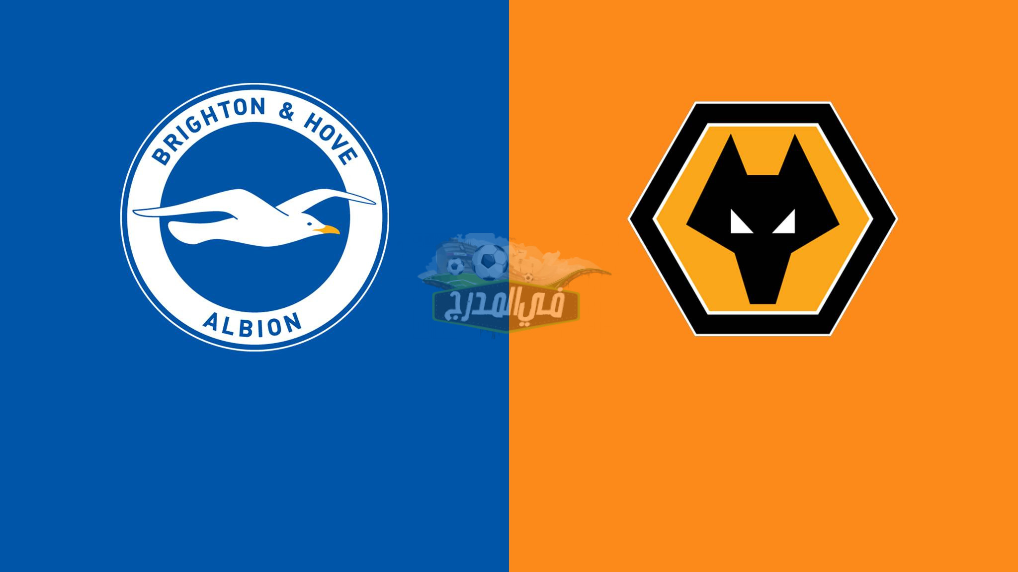موعد مباراة ولفرهامبتون ضد برايتون Wolves vs Brighton في الدوري الإنجليزي الممتاز والقنوات الناقلة لها