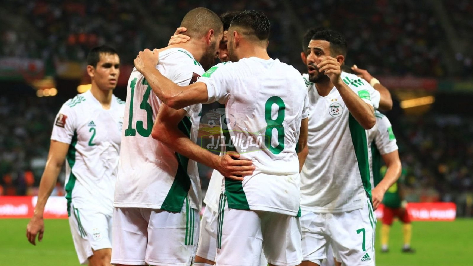 موعد مباراة الجزائر القادمة في تصفيات أمم إفريقيا 2023 والقنوات الناقلة لها