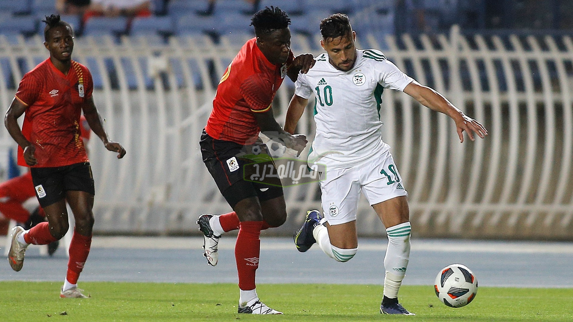 موعد مباراة الجزائر وتنزانيا Algeria vs Tanzania في تصفيات كأس أمم إفريقيا والقنوات الناقلة