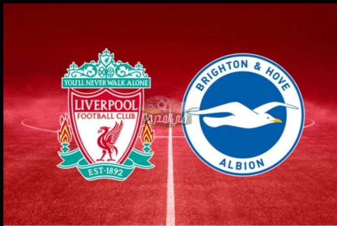 معلق مباراة ليفربول وبرايتون Liverpool vs Brighton اليوم السبت في الدوري الإنجليزي