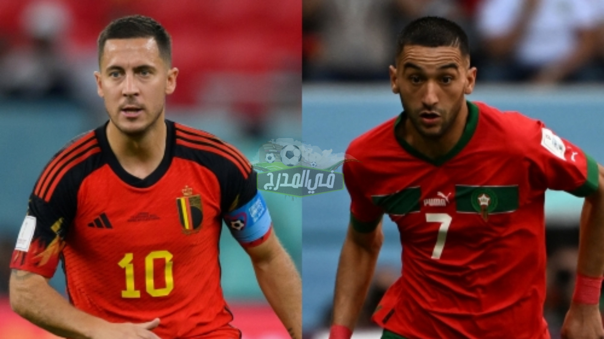 بدون تشفير.. القنوات المفتوحة الناقلة لمباراة المغرب وبلجيكا Morocco vs Belgium في كأس العالم 2022