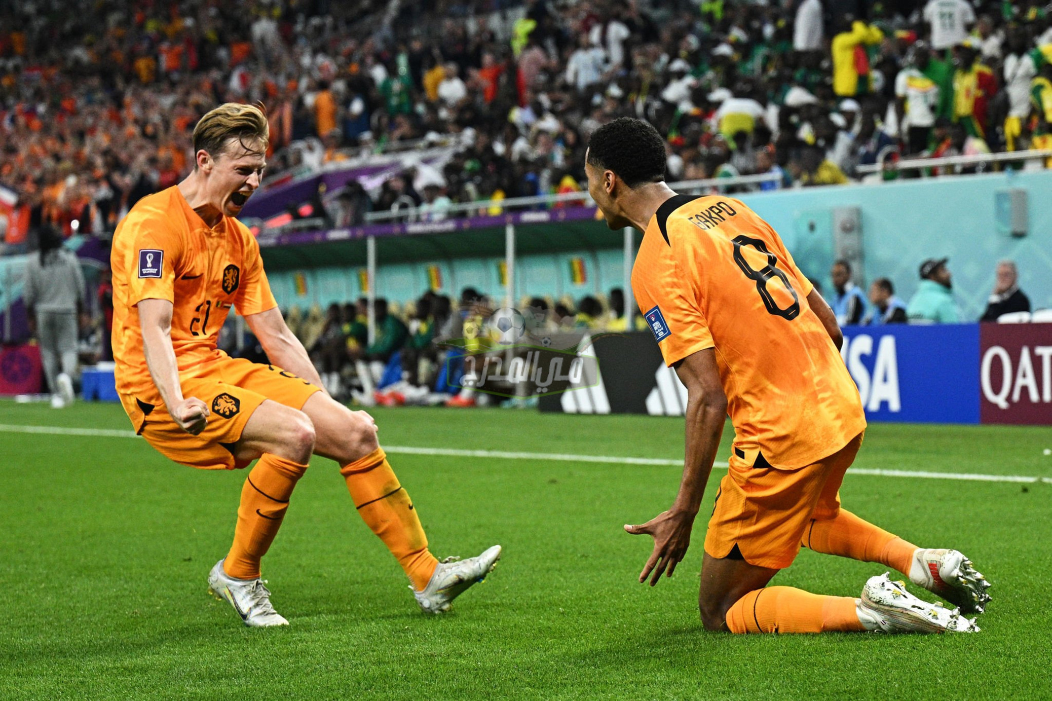 موعد مباراة هولندا القادمة في كأس العالم 2022 والقنوات الناقلة
