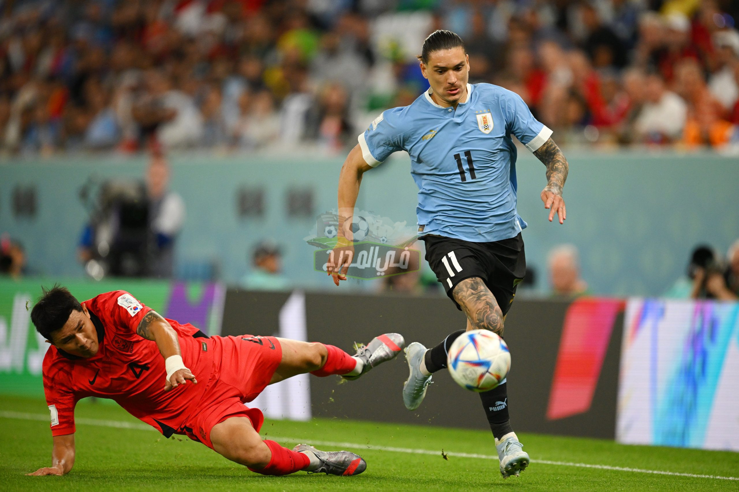 موعد مباراة أوروجواي القادمة في كأس العالم 2022 بعد التعادل أمام كوريا الجنوبية