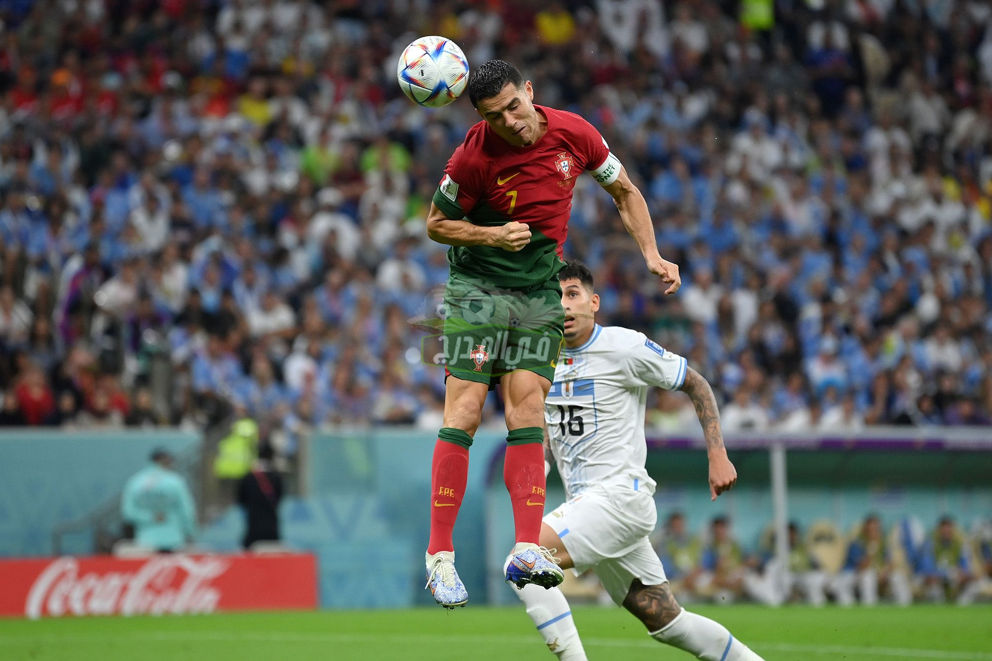الحق نزلها.. قنوات مفتوحة تنقل مباراة البرتغال ضد كوريا الجنوبية Portugal vs South Korea في كأس العالم 2022